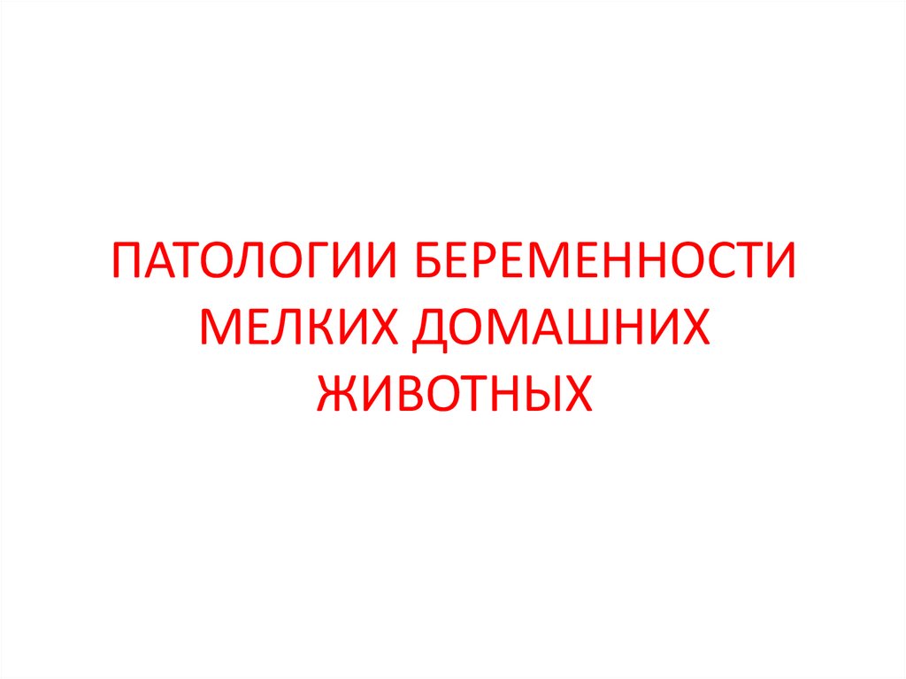 ПАТОЛОГИИ БЕРЕМЕННОСТИ МЕЛКИХ ДОМАШНИХ ЖИВОТНЫХ