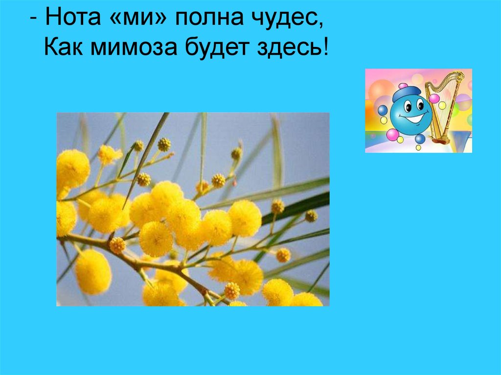 Нота «ми» полна чудес, Как мимоза будет здесь!