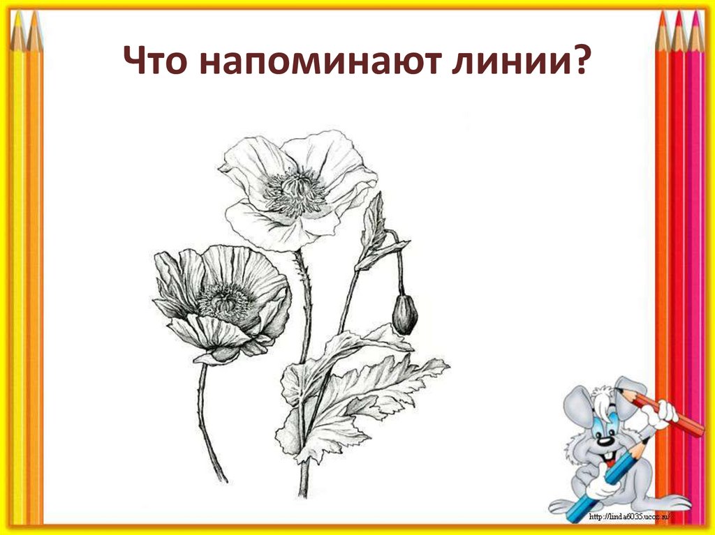 Что напоминают линии?