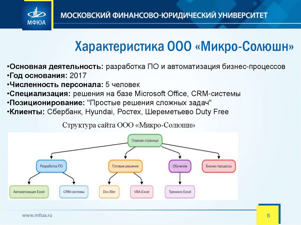 Характеристика ООО «Микро-Солюшн»