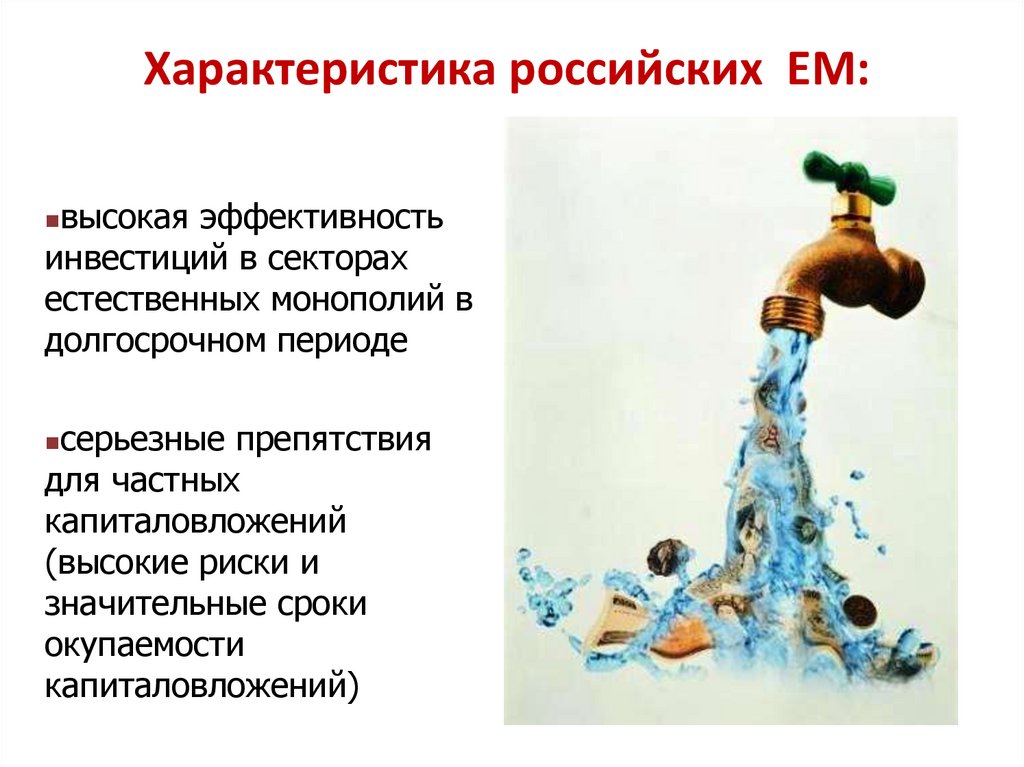 Характеристика российских ЕМ: