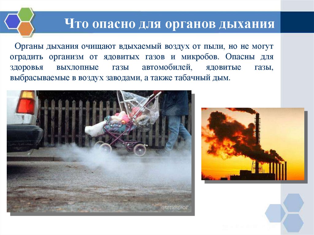 Что опасно для органов дыхания