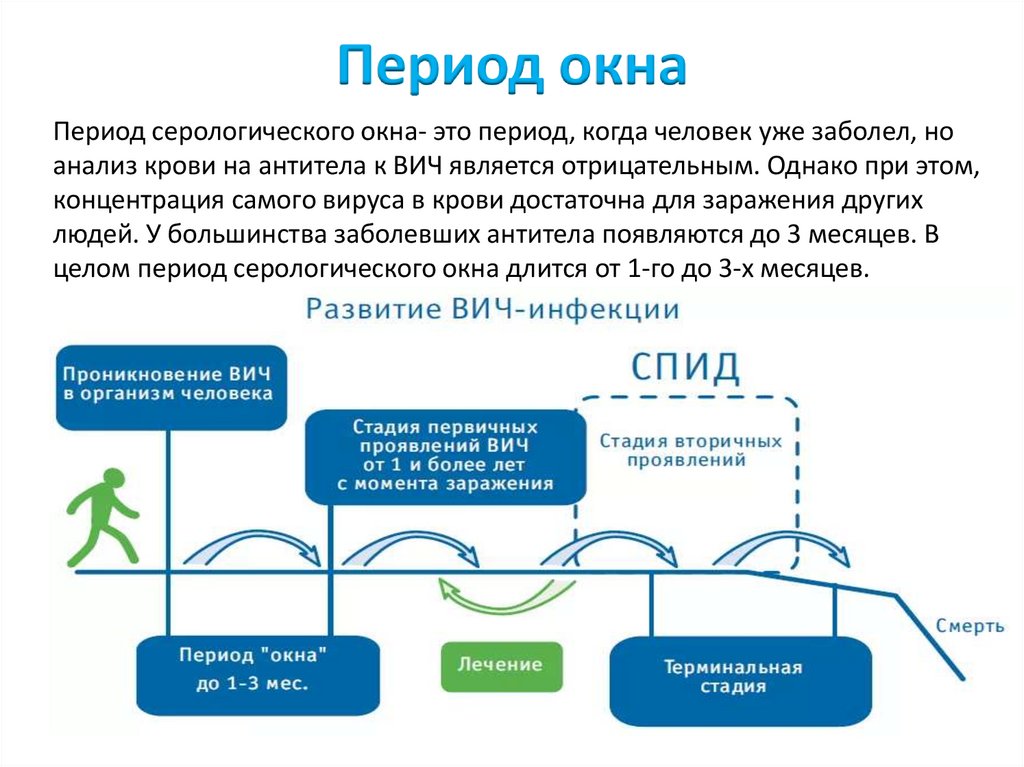 Период окна