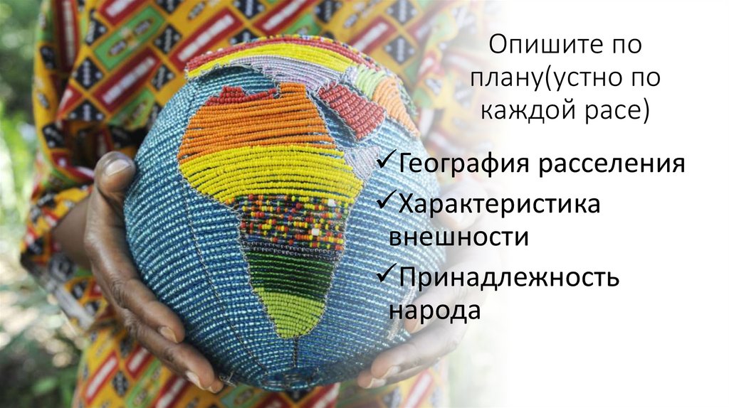 Опишите по плану(устно по каждой расе)