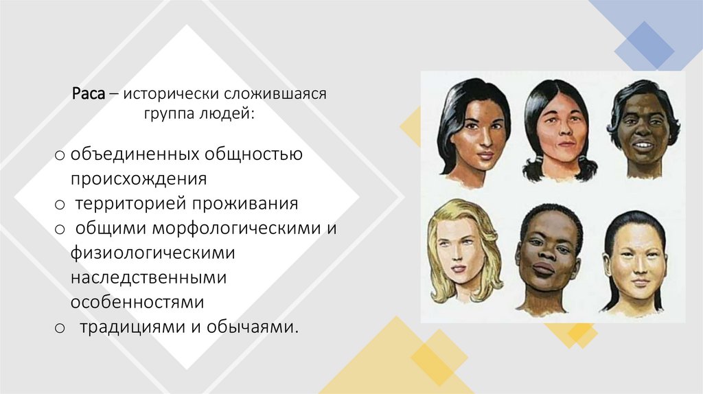 Раса – исторически сложившаяся группа людей: