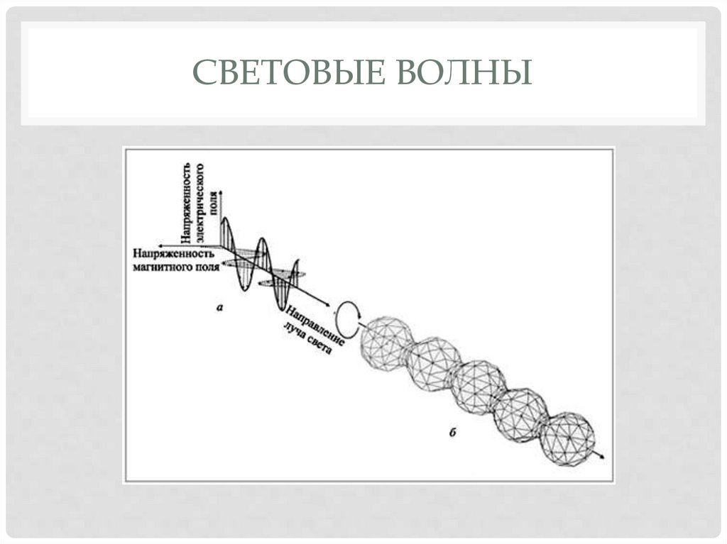 Световые волны
