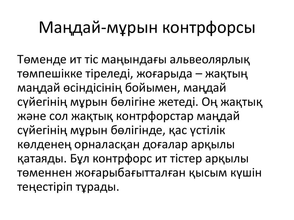 Маңдай-мұрын контрфорсы