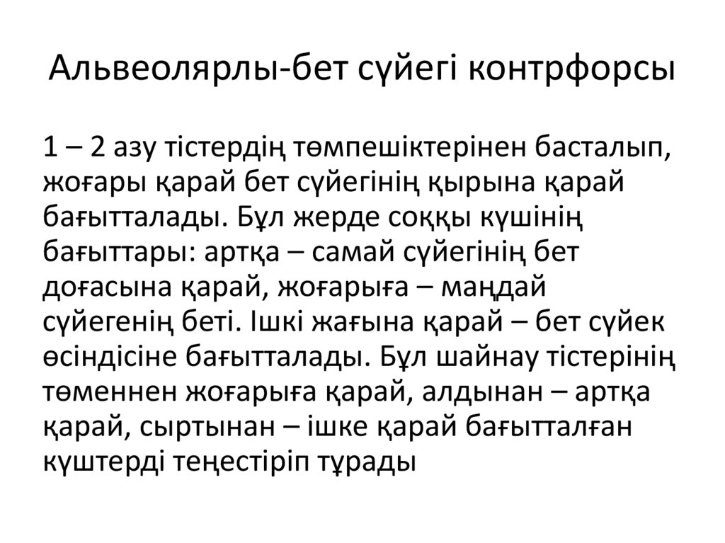 Альвеолярлы-бет сүйегі контрфорсы