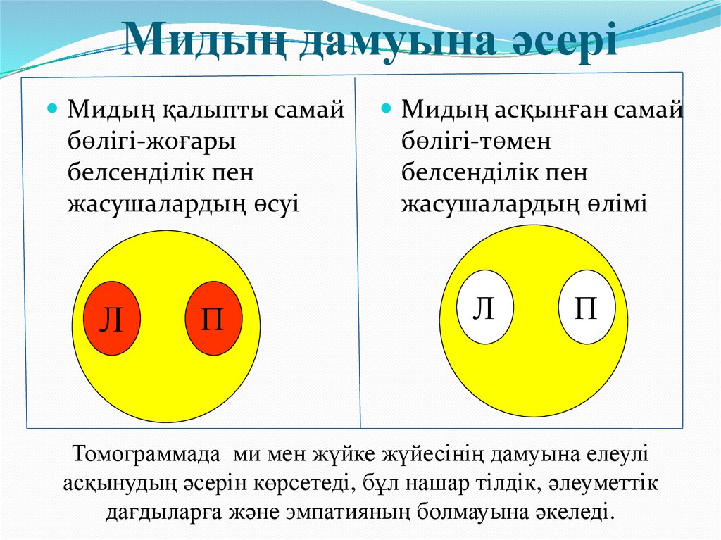 Мидың дамуына әсері