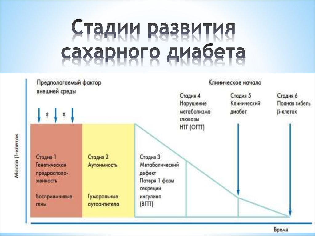 Стадии развития сахарного диабета