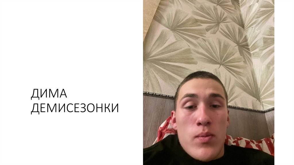 ДИМА ДЕМИСЕЗОНКИ