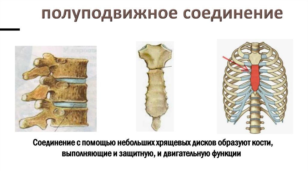 полуподвижное соединение