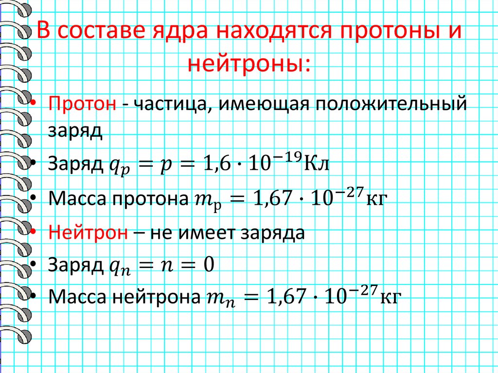 В составе ядра находятся протоны и нейтроны: