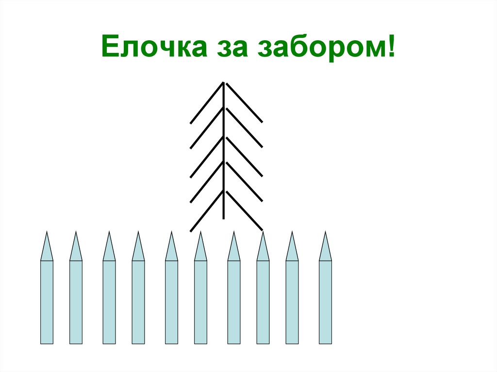 Елочка за забором!