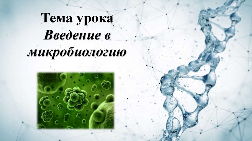Тема урока Введение в микробиологию