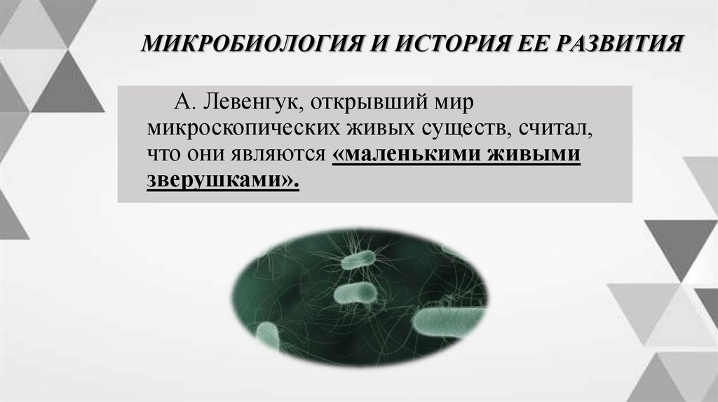 МИКРОБИОЛОГИЯ И ИСТОРИЯ ЕЕ РАЗВИТИЯ