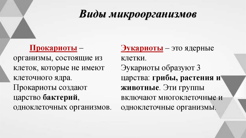 Виды микроорганизмов