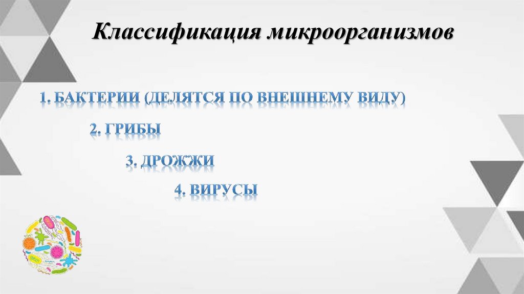 Классификация микроорганизмов