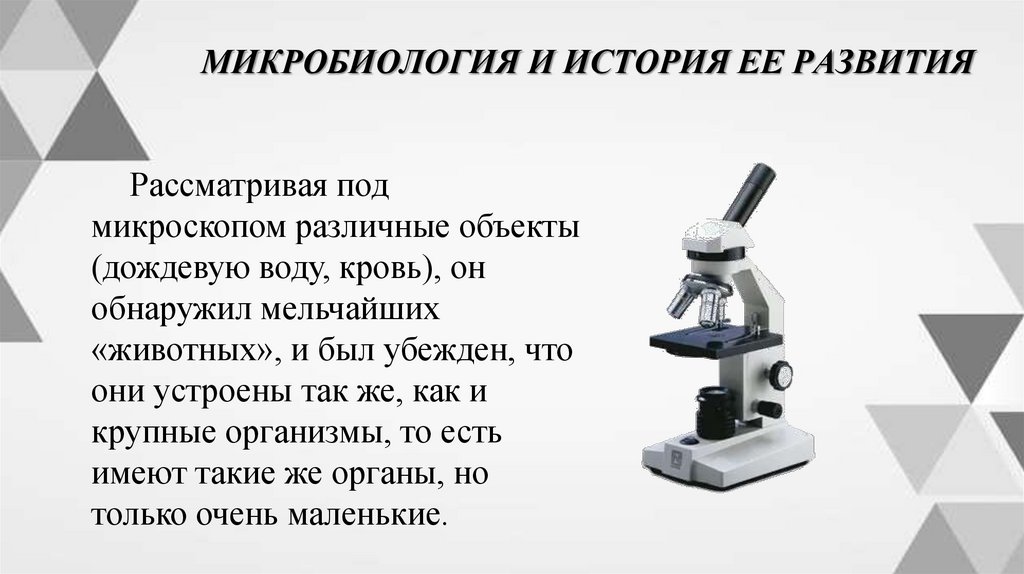 МИКРОБИОЛОГИЯ И ИСТОРИЯ ЕЕ РАЗВИТИЯ