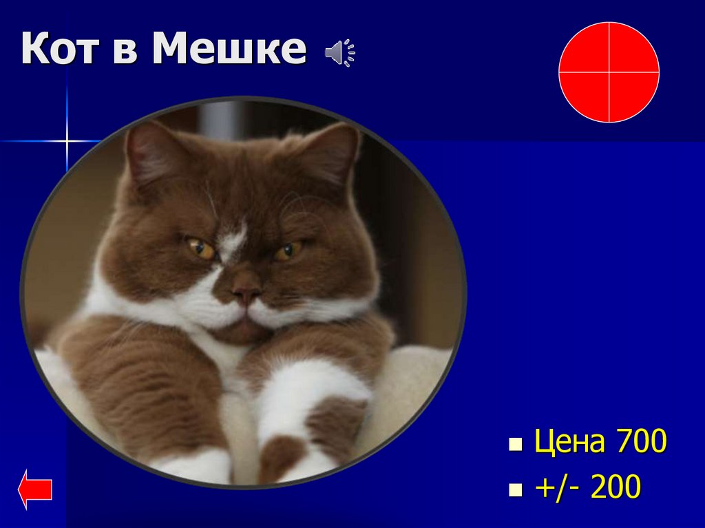 Кот в Мешке