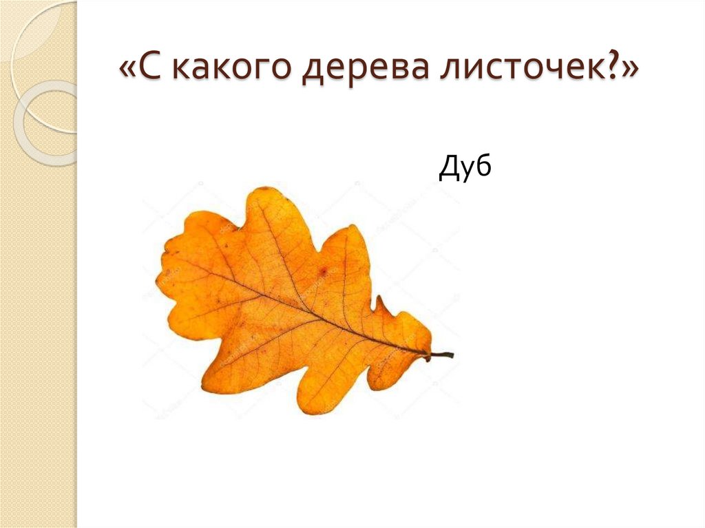 «С какого дерева листочек?»