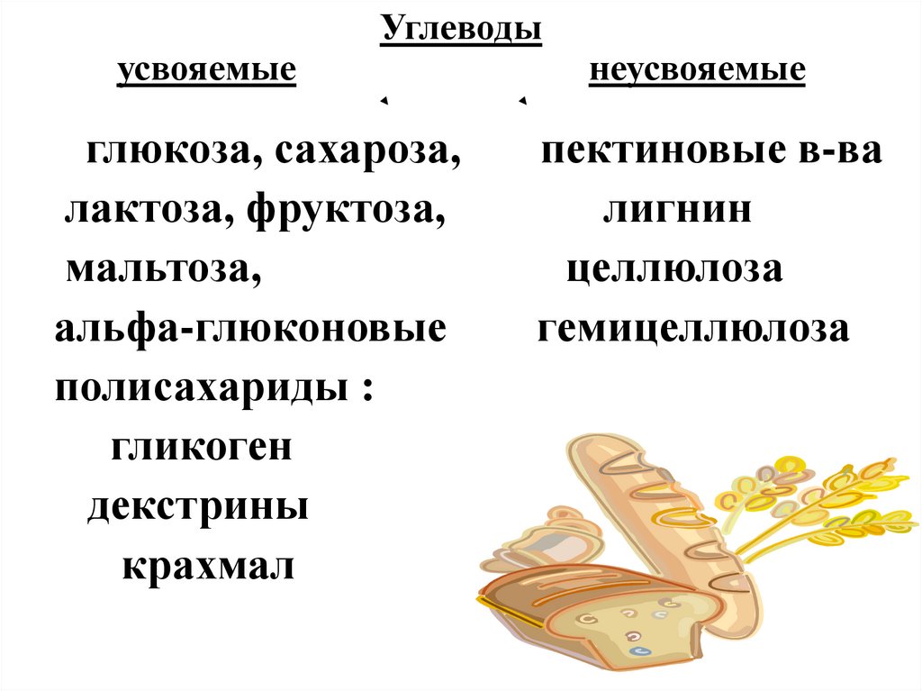 Углеводы усвояемые неусвояемые