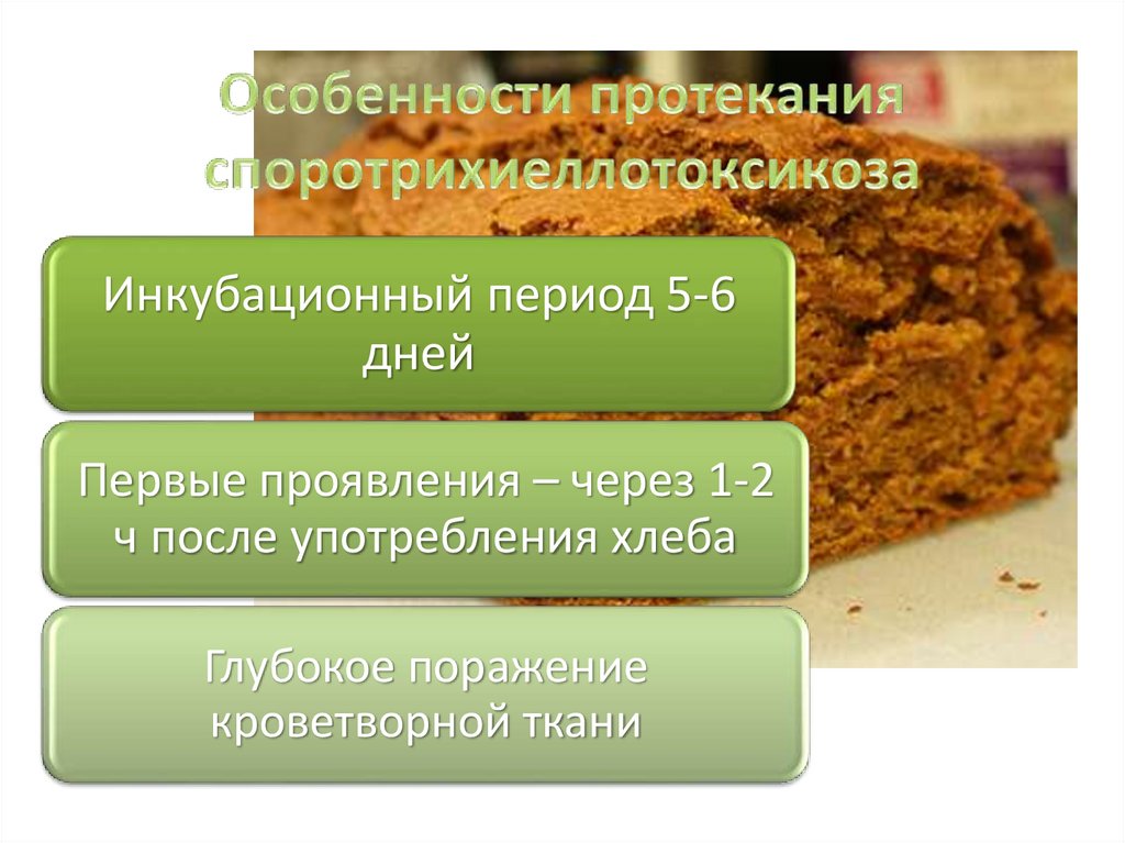 Особенности протекания споротрихиеллотоксикоза