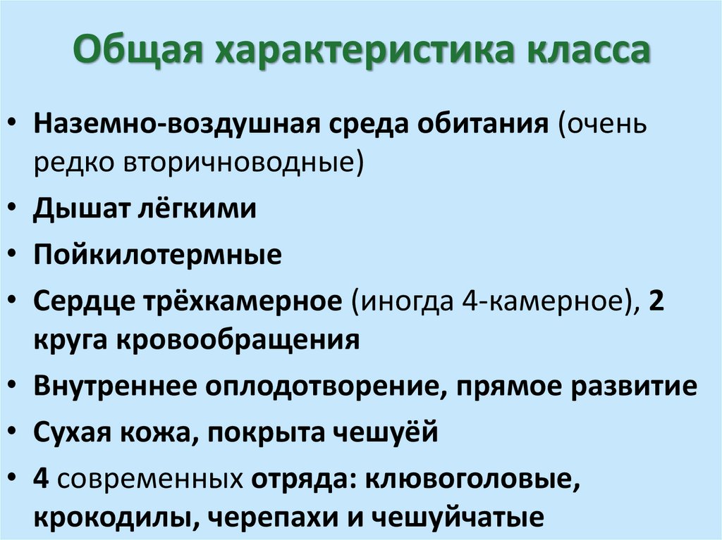 Общая характеристика класса