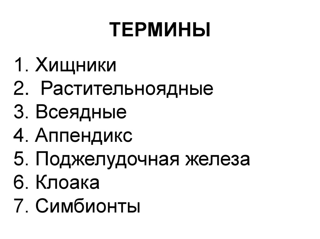 ТЕРМИНЫ