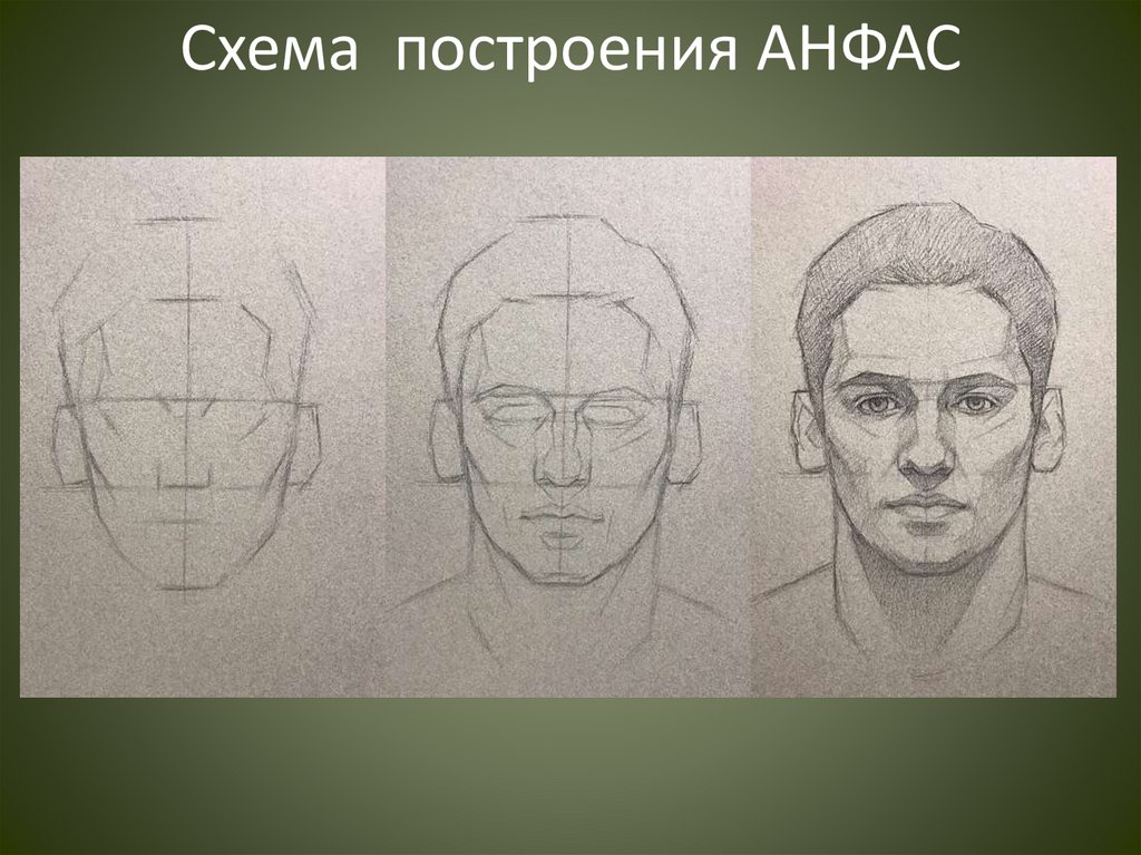 Схема построения АНФАС