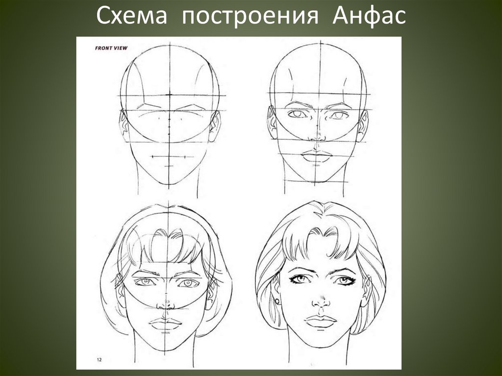 Схема построения Анфас