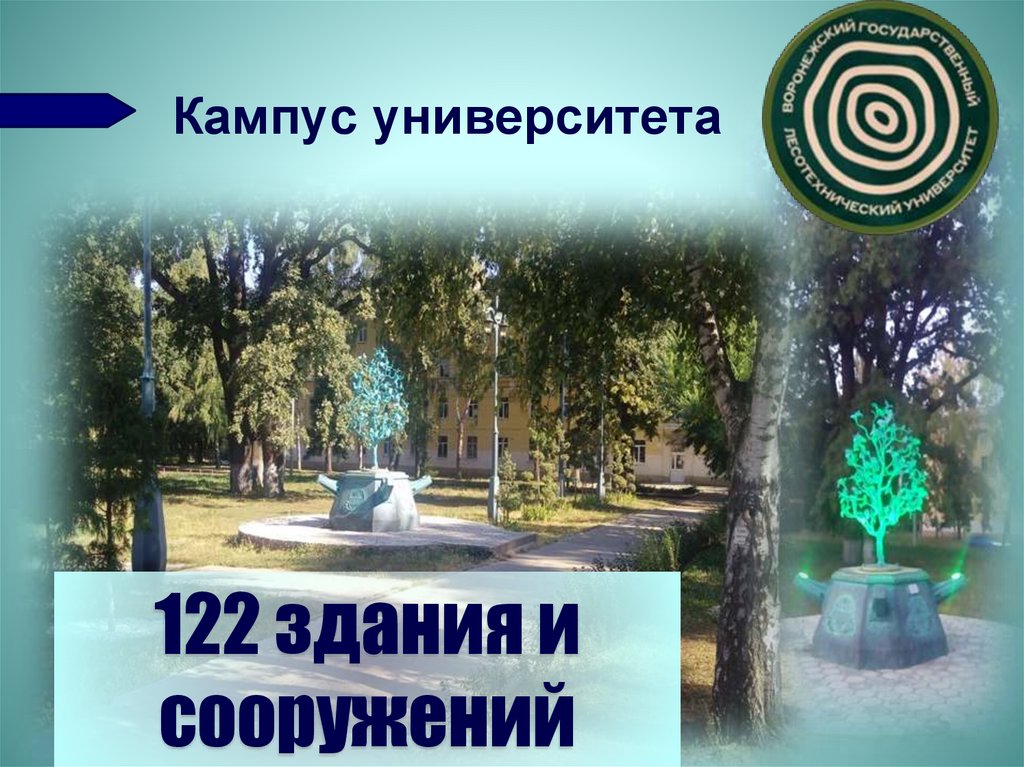 Кампус университета