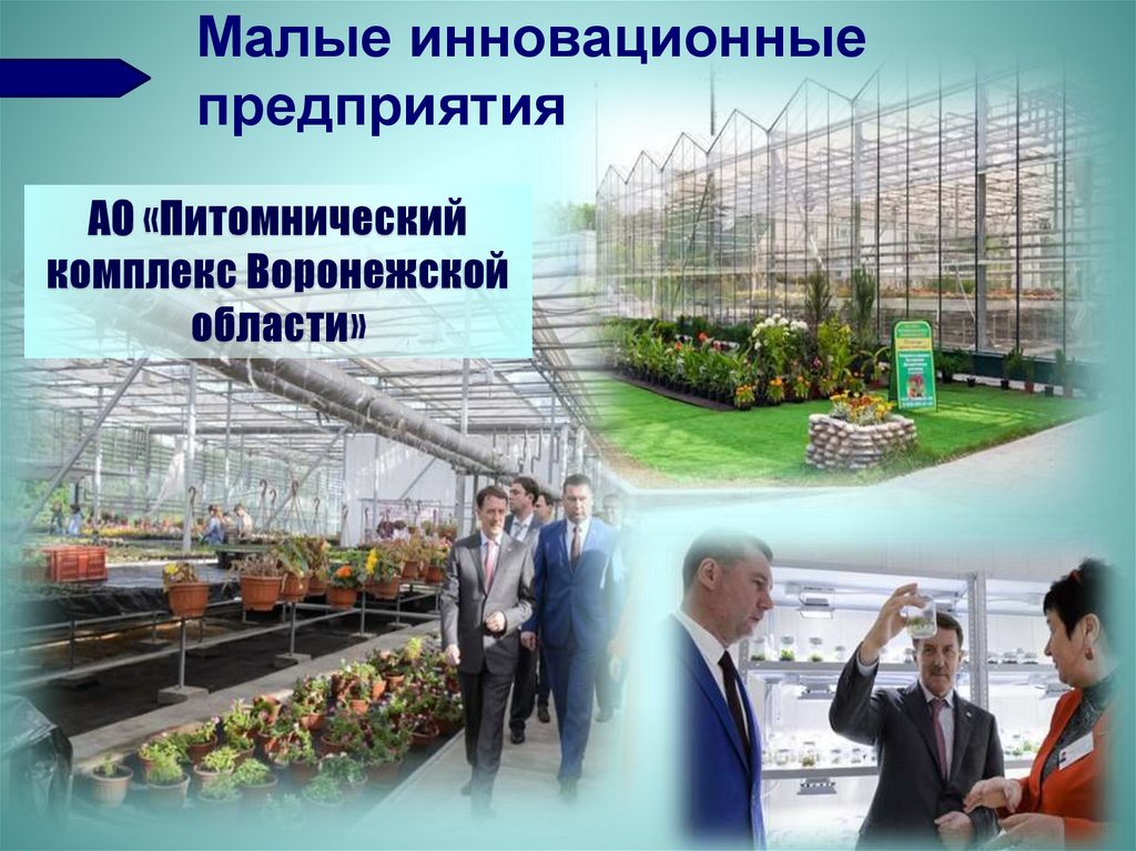 Малые инновационные предприятия