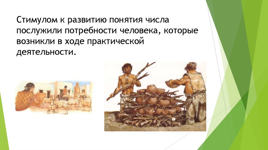 Стимулом к развитию понятия числа послужили потребности человека, которые возникли в ходе практической деятельности.