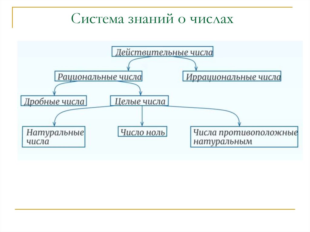 Система знаний о числах