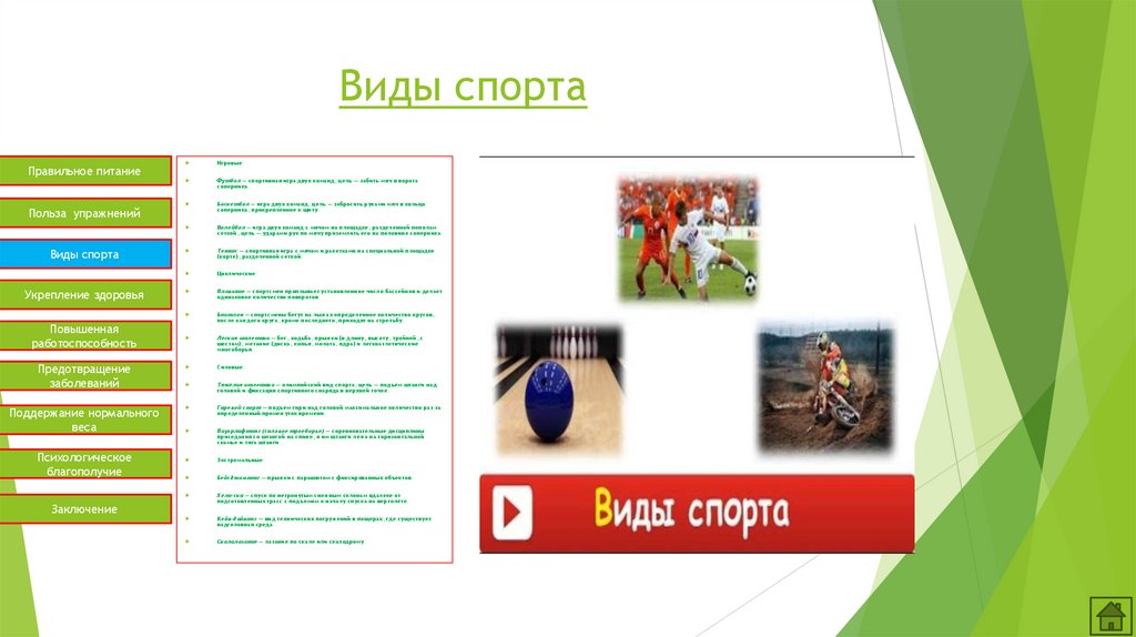 Виды спорта