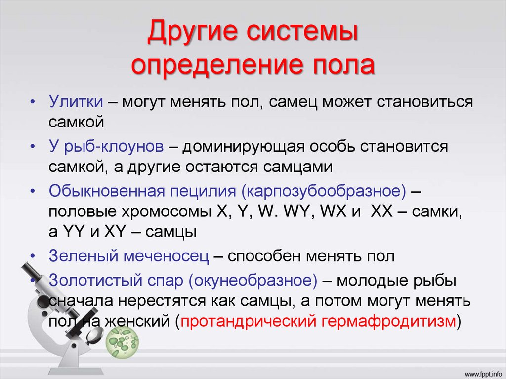 Другие системы определение пола