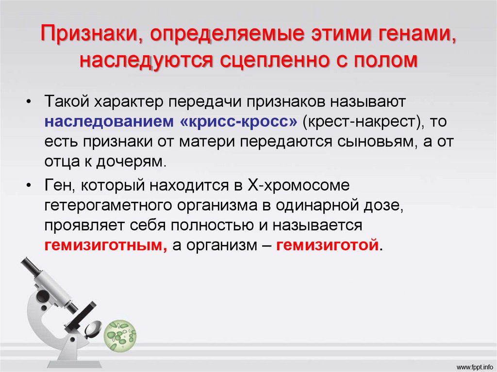 Признаки, определяемые этими генами, наследуются сцепленно с полом