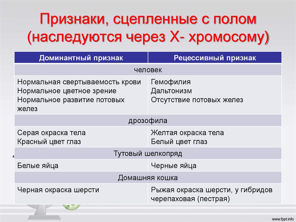 Признаки, сцепленные с полом (наследуются через X- хромосому)