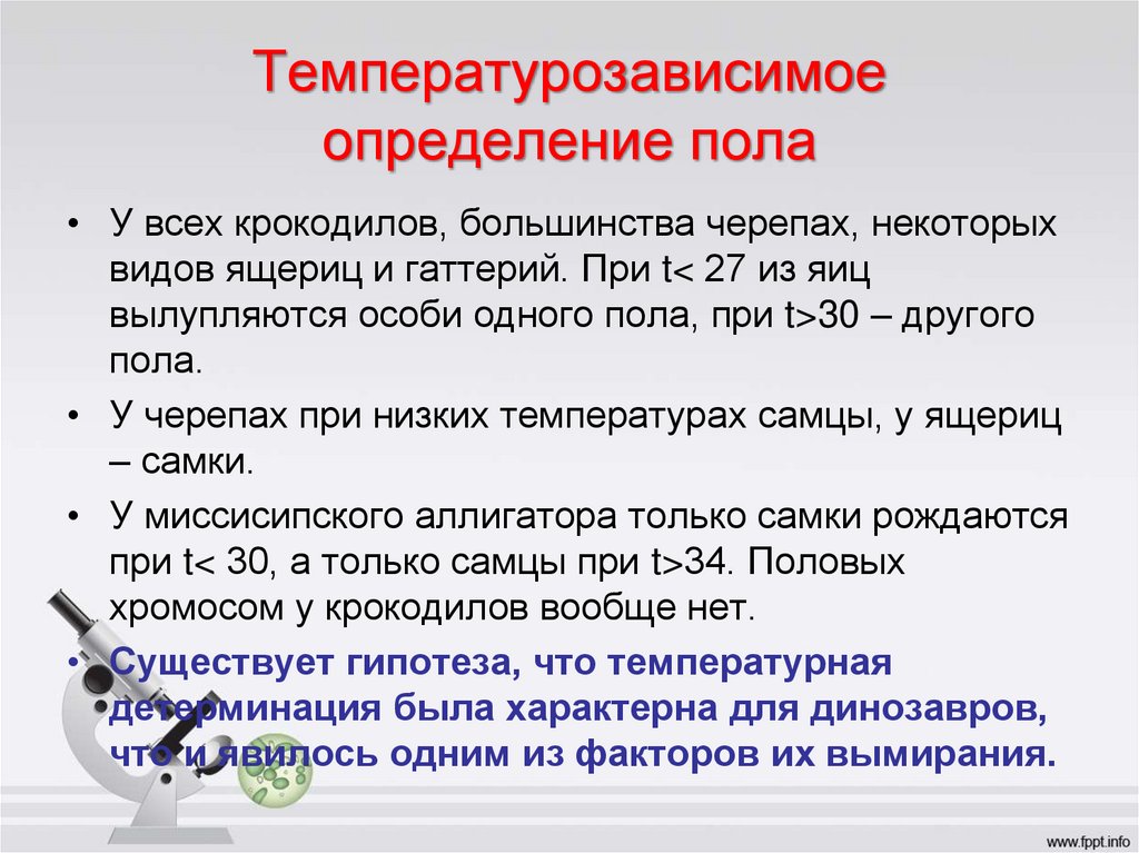 Температурозависимое определение пола