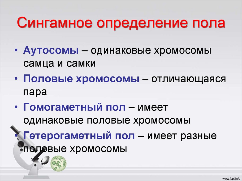 Сингамное определение пола