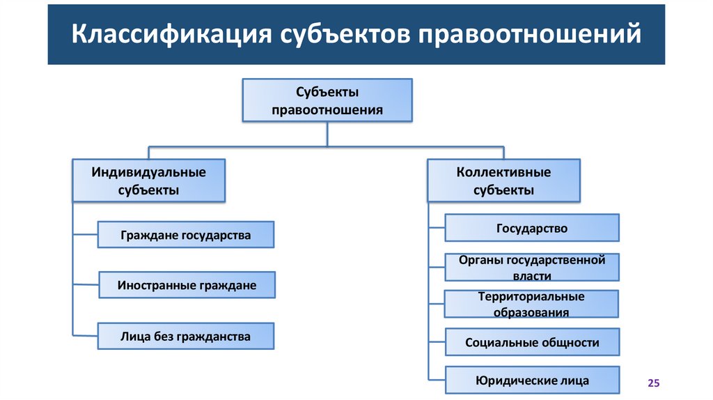 Классификация субъектов правоотношений