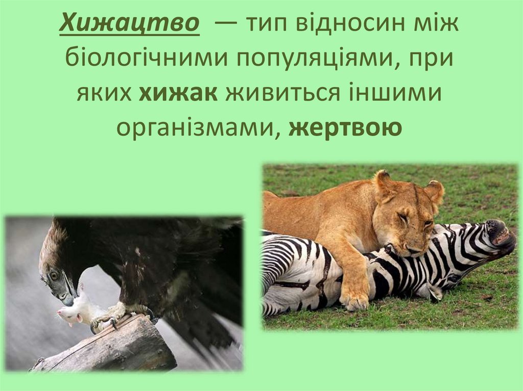 Хижацтво  — тип відносин між біологічними популяціями, при яких хижак живиться іншими організмами, жертвою