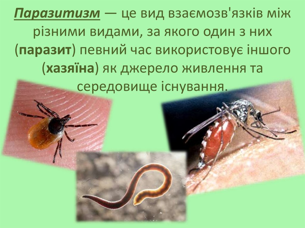 Паразитизм — це вид взаємозв'язків між різними видами, за якого один з них (паразит) певний час використовує іншого (хазяїна)