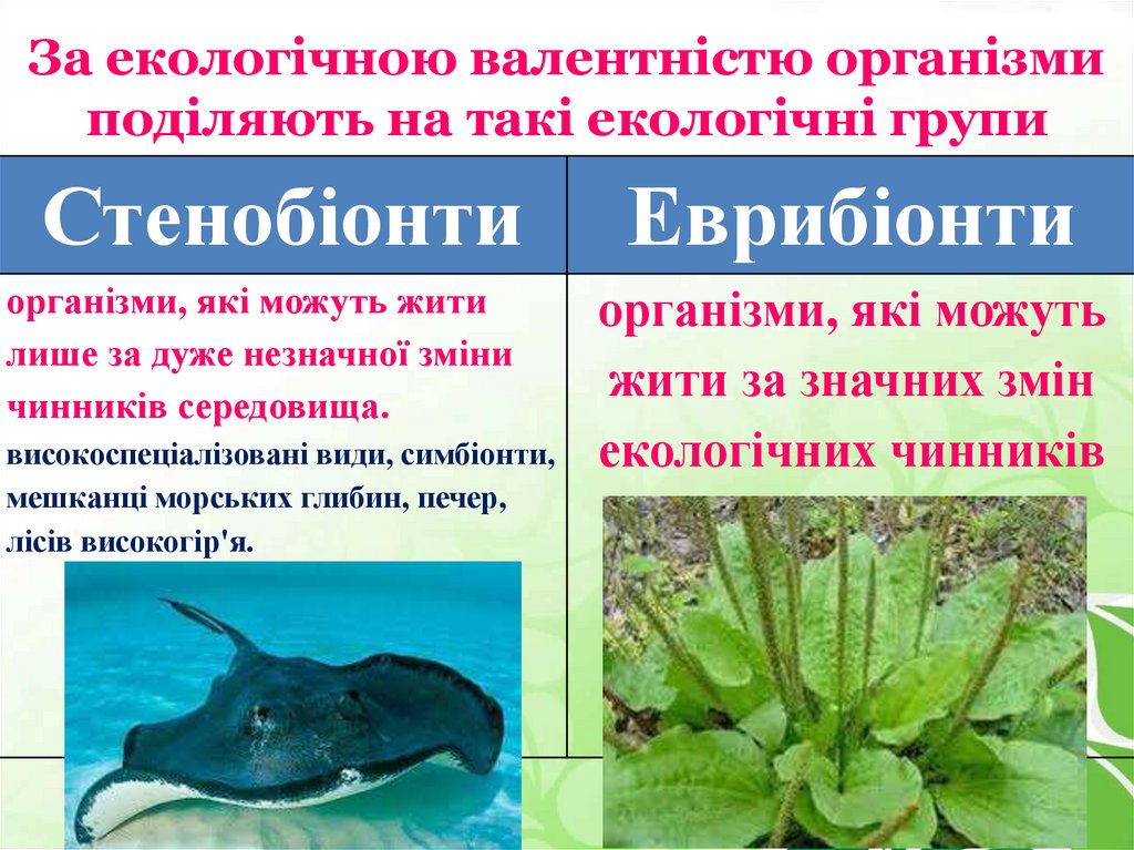 За екологічною валентністю організми поділяють на такі екологічні групи