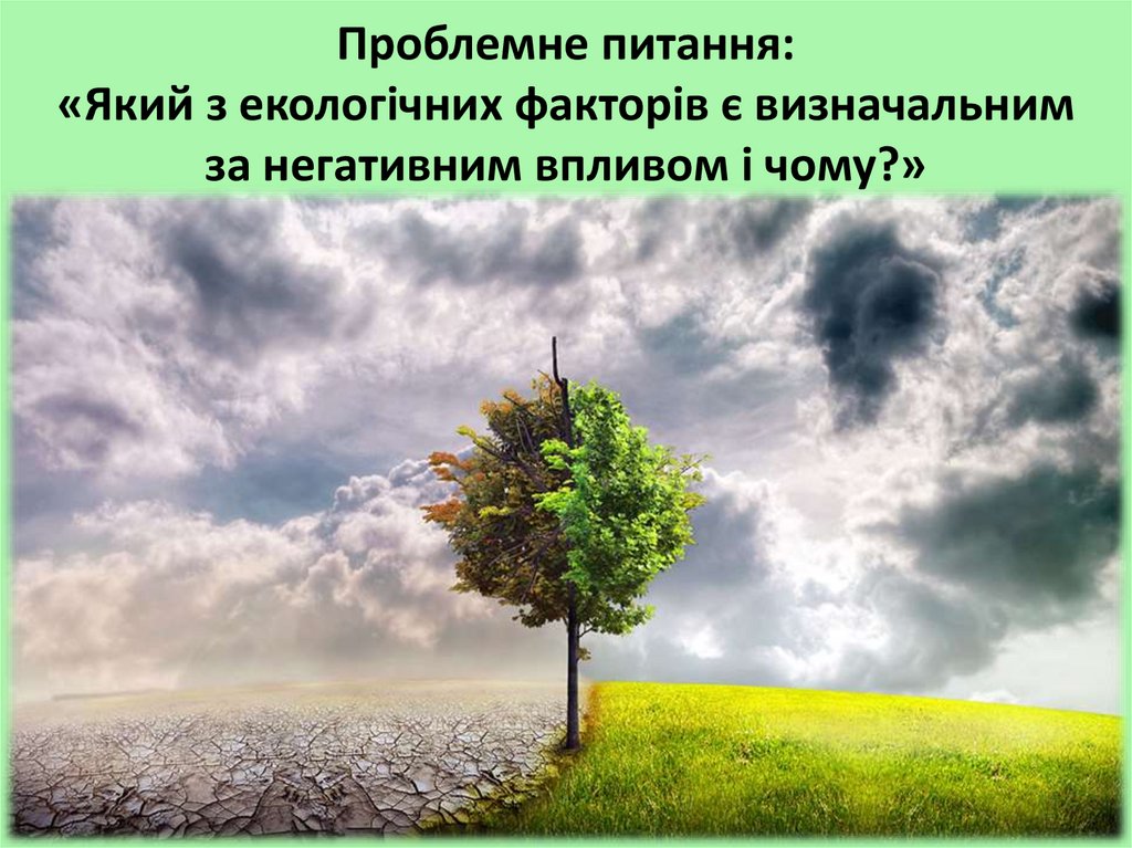 Проблемне питання: «Який з екологічних факторів є визначальним за негативним впливом і чому?»