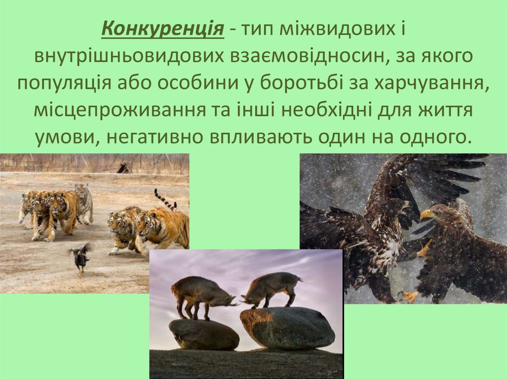 Конкуренція - тип міжвидових і внутрішньовидових взаємовідносин, за якого популяція або особини у боротьбі за харчування,