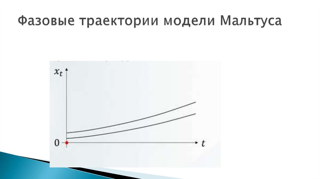 Фазовые траектории модели Мальтуса