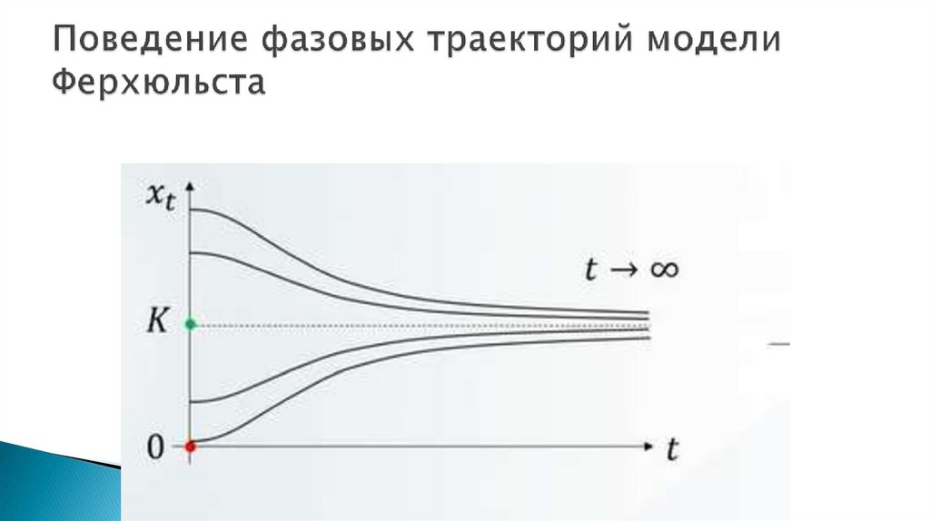Поведение фазовых траекторий модели Ферхюльста