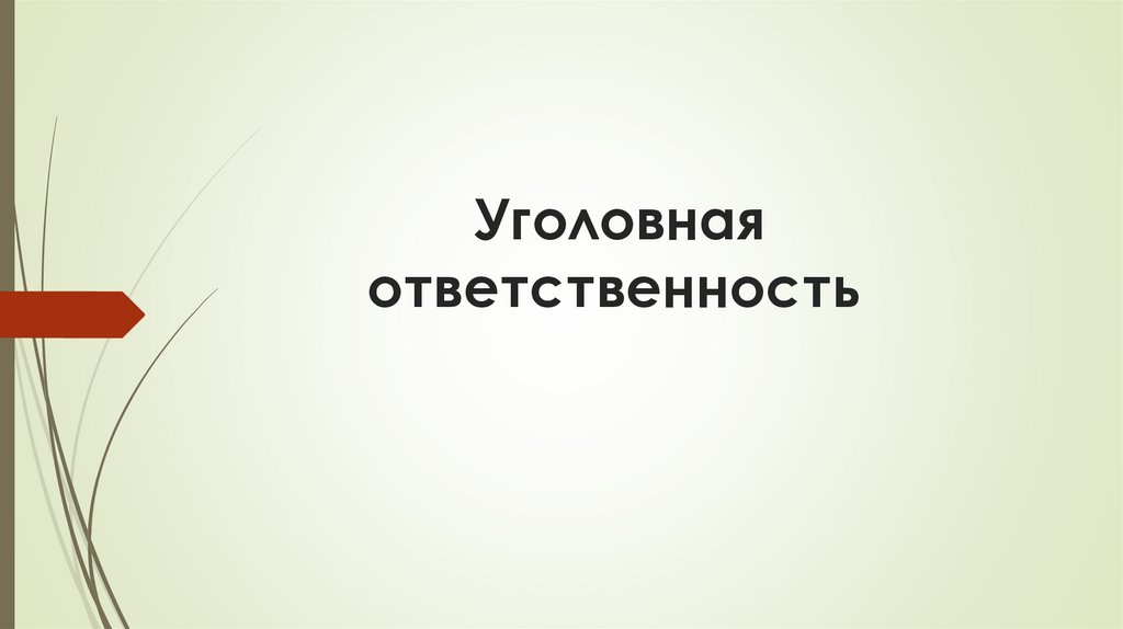    Уголовная ответственность